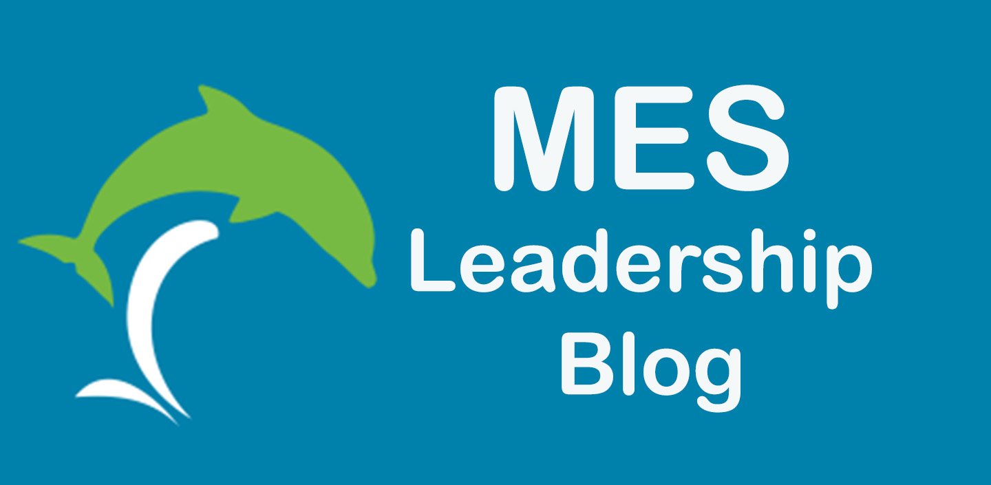 MESBlog
